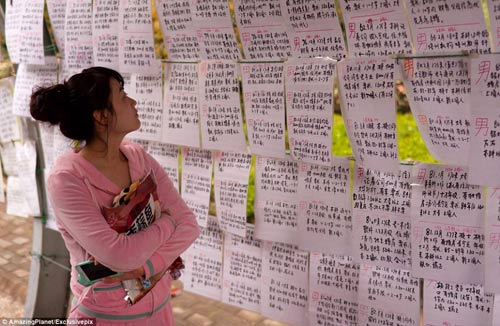 Trung Quốc: Phụ huynh xếp hàng tìm vợ, chồng cho con - 3