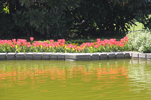 Istanbul - thành phố “trái tim” của Thổ Nhĩ Kỳ - 2