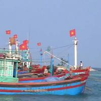 Tin tức trong ngày - Tàu TQ hung tợn: Ngư dân vẫn quyết ra biển Hoàng Sa