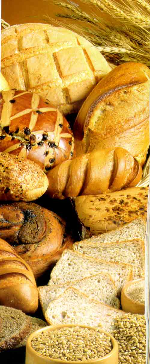 Thơm hương lúa mì - 2