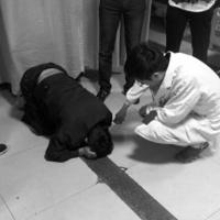 Tin tức trong ngày - TQ: Bố đánh con đến chết vì chép bài bạn