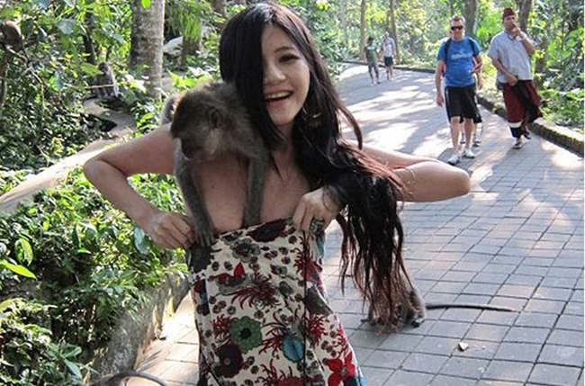 Nổi tiếng nhất là bức ảnh du khách người Đài Loan bị chú khỉ tinh nghịch kéo váy
