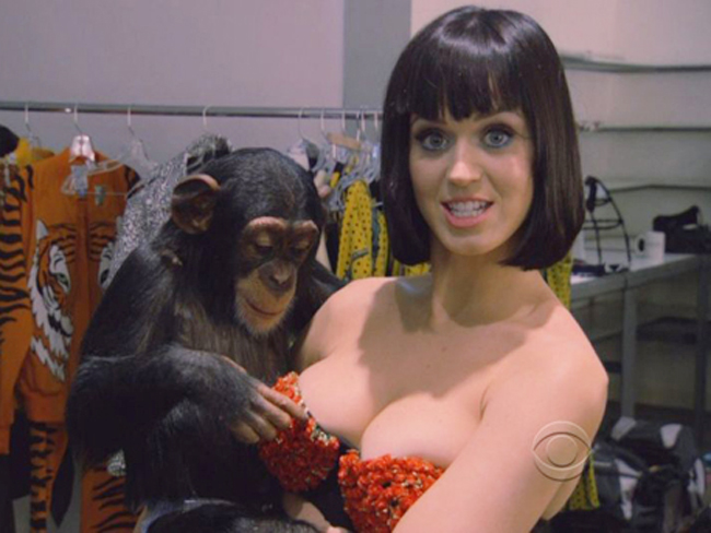 Vòng 1 sexy của ca sỹ Katy Perry thu hút chú đười ươi lắm chiêu

