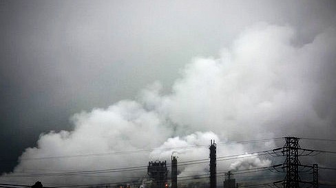 Bí ẩn "động chết" ở Indonesia - 4