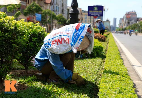 Dân Thủ đô say trong nắng nóng 40 độ C - 3