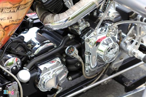 Harley-Davidson 3 bánh in hình quốc kỳ Việt Nam - 4