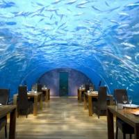 Du lịch - Ngắm vẻ đẹp nhà hàng dưới nước đầu tiên thế giới