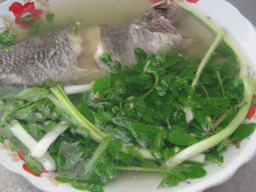 Chợt thèm rau đắng nấu canh - 2