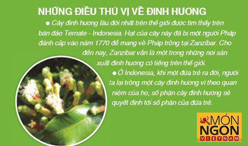 Thơm nồng đinh hương - 3