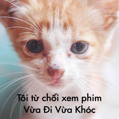 Những "cái chết" của Vừa đi vừa khóc - 8