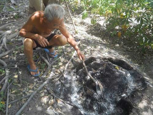 Tây Ninh: Hàng triệu con bọ đậu đen bay vào nhà dân - 2