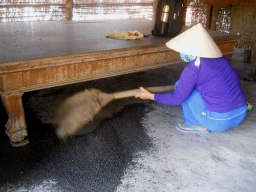 Tây Ninh: Hàng triệu con bọ đậu đen bay vào nhà dân - 1