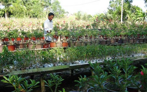 Nông dân Sài Gòn ra nước ngoài học trồng hoa - 1