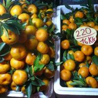 Tin tức trong ngày - Gần 300 tấn trái cây TQ dính độc "lạc" vào Việt Nam