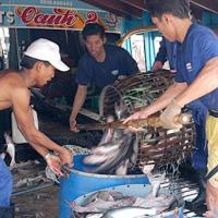 Tài chính - Bất động sản - Đừng bi quan khi kinh tế tăng trưởng chậm lại