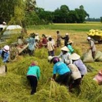 Pháp luật - "Dụ" chủ ruộng nhìn chỗ khác để cướp 100 triệu đồng