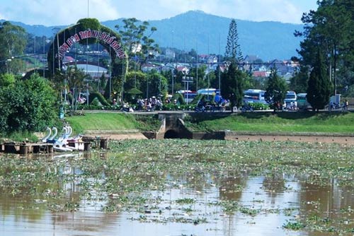 Lâm Đồng: Hồ Xuân Hương đầy rác, cạn bất thường - 1