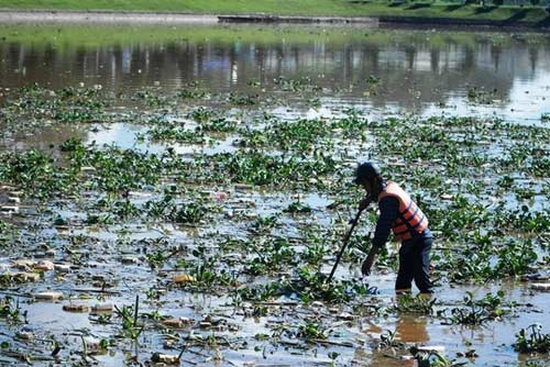 Lâm Đồng: Hồ Xuân Hương đầy rác, cạn bất thường - 4