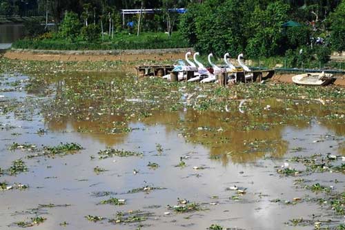 Lâm Đồng: Hồ Xuân Hương đầy rác, cạn bất thường - 6