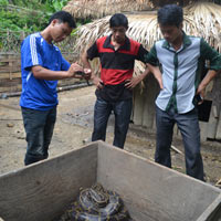 Tin tức trong ngày - Bí ẩn "rắn khổng lồ" ở Hà Giang