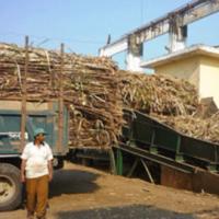 Thị trường - Tiêu dùng - Lãi khủng, doanh nghiệp vẫn nợ dây dưa