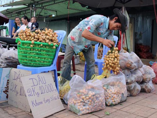 Trái cây dội chợ, rớt giá hàng loạt - 1