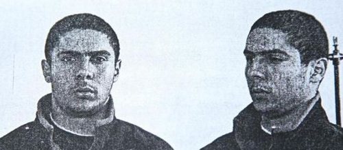 Vấn nạn “sói đơn độc” đe dọa cả châu Âu - 1