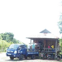 Tin tức trong ngày - Bị mẹ la mắng, uống thuốc trừ cỏ tự tử