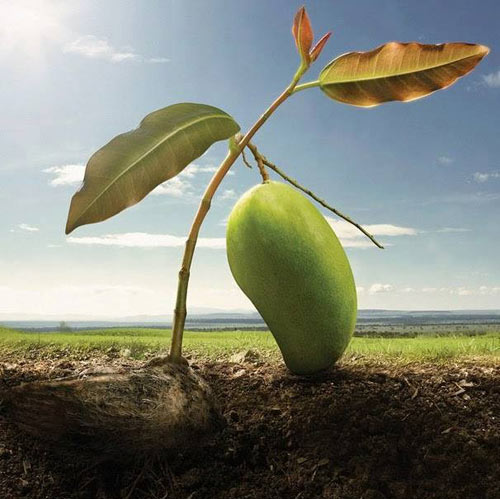 Sặc nước vì những hình ảnh "ngon không cưỡng nổi" - 3