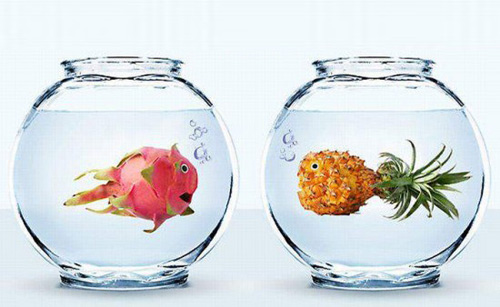 Sặc nước vì những hình ảnh "ngon không cưỡng nổi" - 4