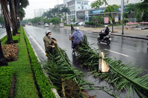 Đường phố Hà Nội ngổn ngang sau cơn giông lớn - 7