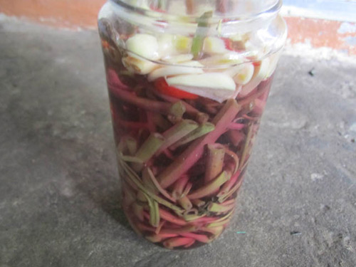 Gió đưa rau muống lên bờ - 4