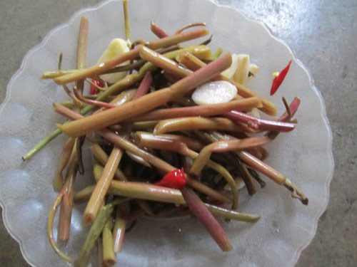 Gió đưa rau muống lên bờ - 5