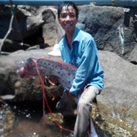 Tin tức trong ngày - Bắt được “thủy quái” giống rồng dài 4,2m ở Đà Nẵng