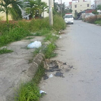 Tin tức trong ngày - Người đàn ông tự thiêu giữa nghĩa trang