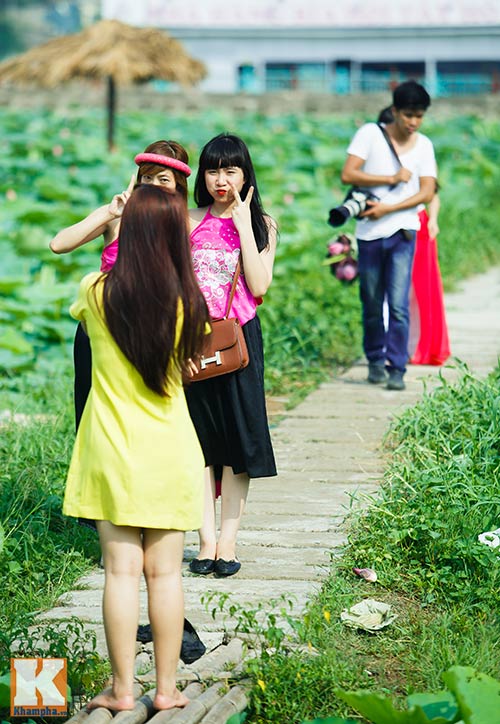 Giới trẻ 'đổ xô' về hồ Tây chụp ảnh sen đầu mùa - 2