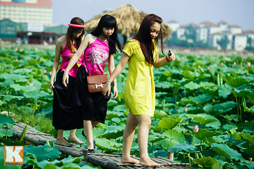 Giới trẻ 'đổ xô' về hồ Tây chụp ảnh sen đầu mùa - 3