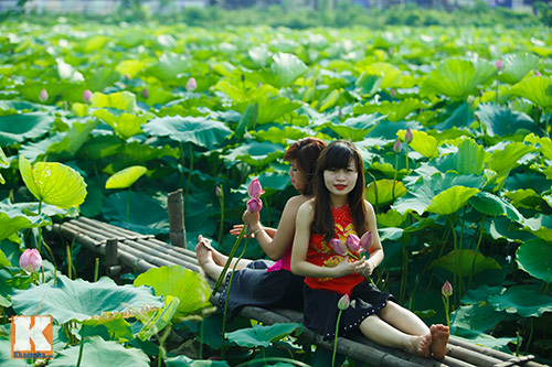 Giới trẻ 'đổ xô' về hồ Tây chụp ảnh sen đầu mùa - 14