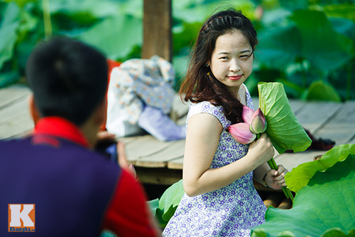 Giới trẻ 'đổ xô' về hồ Tây chụp ảnh sen đầu mùa - 6