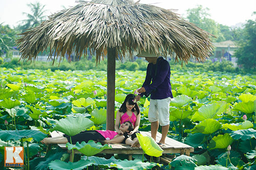 Giới trẻ 'đổ xô' về hồ Tây chụp ảnh sen đầu mùa - 8