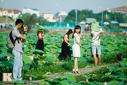 Giới trẻ 'đổ xô' về hồ Tây chụp ảnh sen đầu mùa - 7