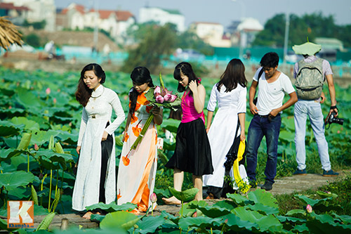 Giới trẻ 'đổ xô' về hồ Tây chụp ảnh sen đầu mùa - 4