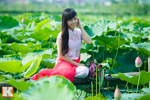 Giới trẻ 'đổ xô' về hồ Tây chụp ảnh sen đầu mùa - 2