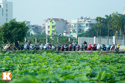 Giới trẻ 'đổ xô' về hồ Tây chụp ảnh sen đầu mùa - 7