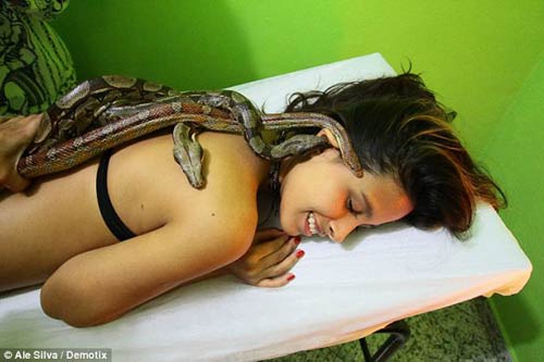 Rợn người với tiệm massage bằng trăn và rắn ở Brazil - 2