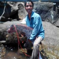 Tin tức trong ngày - “Thủy quái” ở Đà Nẵng bị xẻ thịt ăn nhậu