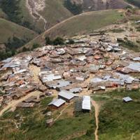 Tin tức trong ngày - Congo: Vì 1 con bò, 37 người thiệt mạng