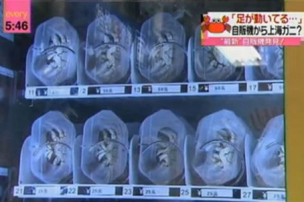 Những "đặc sản" chỉ có thể tìm thấy ở Trung Quốc - 1