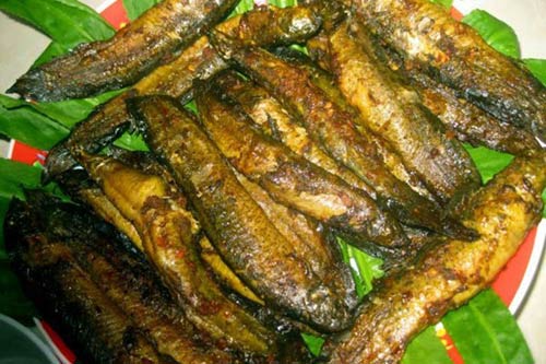 Cá chạch, “món cứu tinh” của quý ông - 3