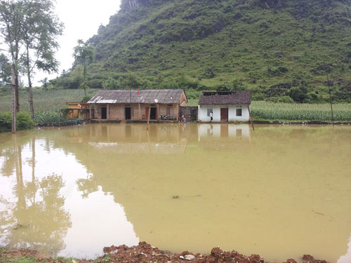 Đang ngủ trong nhà, một người đàn ông bị sét đánh chết - 1